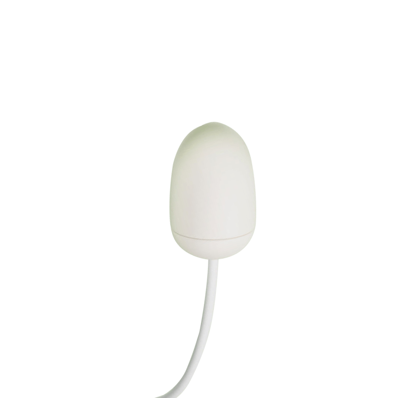 Beanie LickPod
