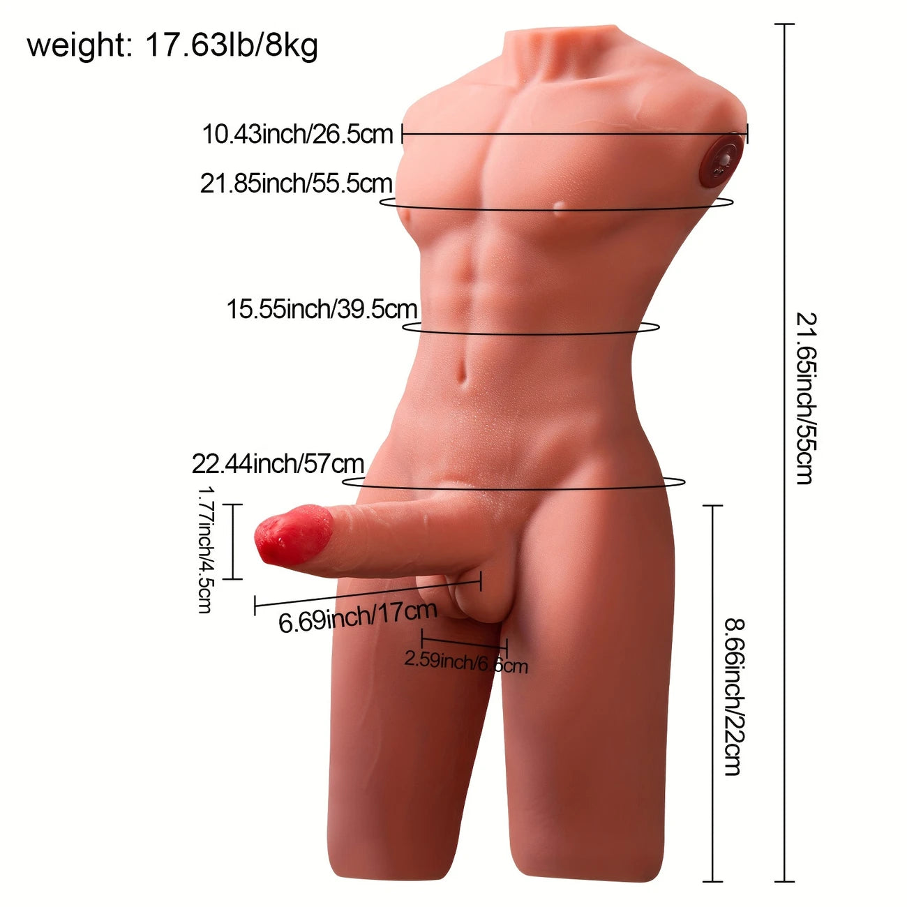 Atlas Torso 17.64Lb