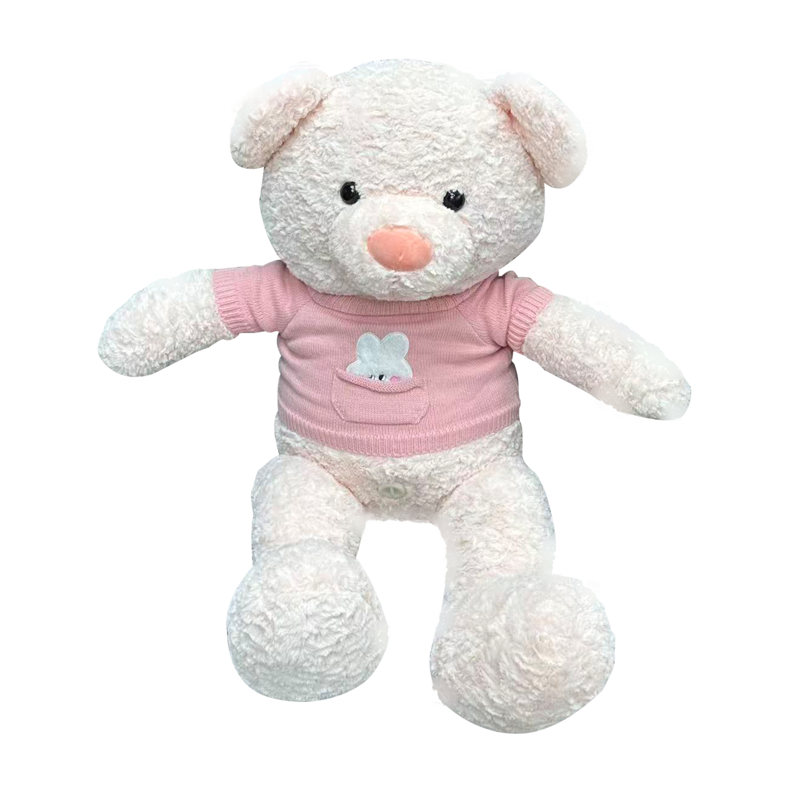 Teddy Bear