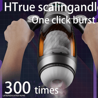 Bella Bot