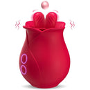 Bloom Pulse