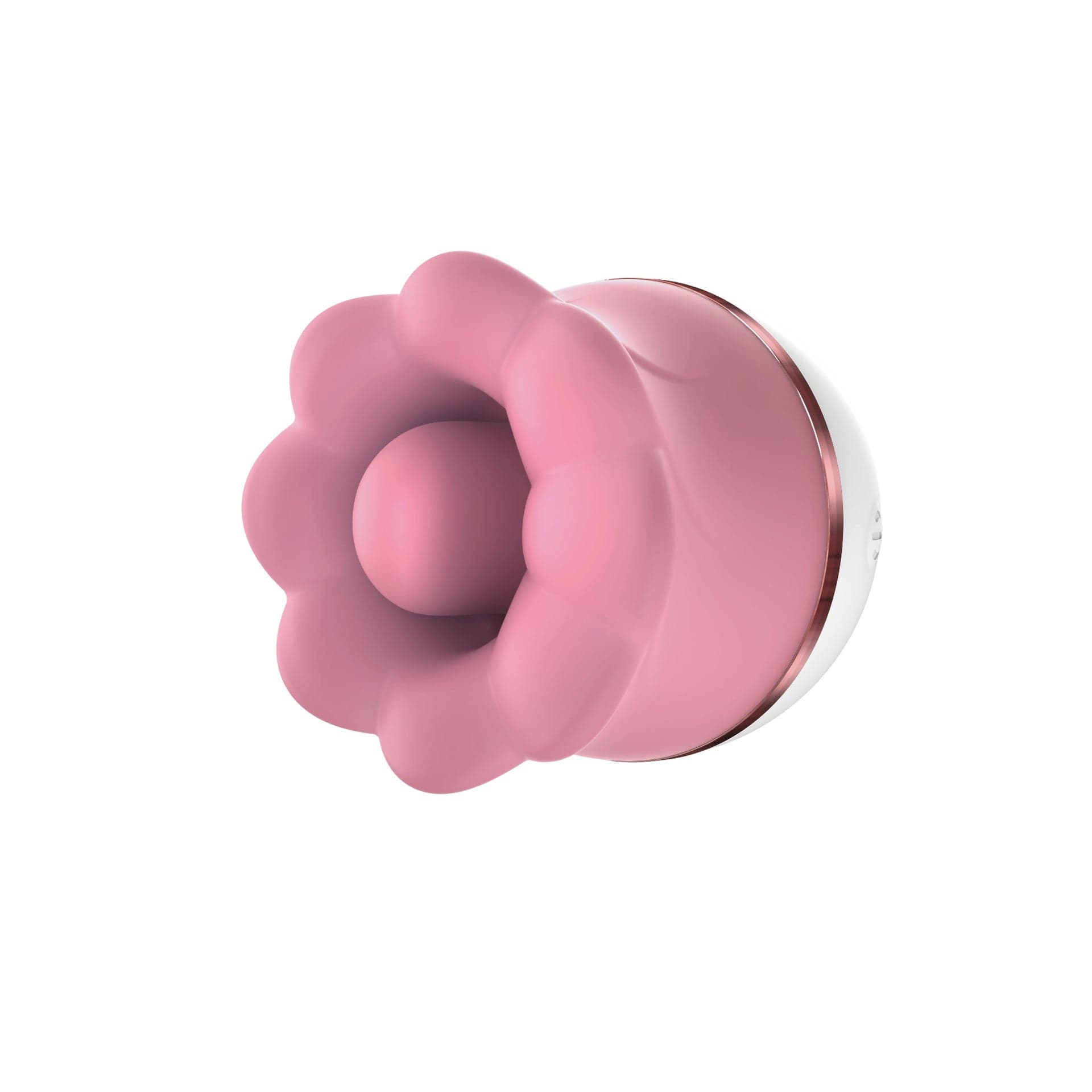 Velvet Bloom
