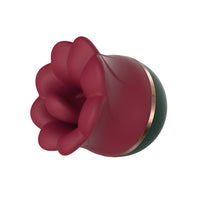 Velvet Bloom