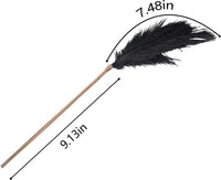 Silk Lash