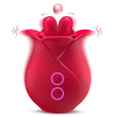 Bloom Pulse
