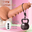 Snail Surge 9.06“