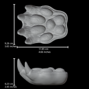 Bear paw