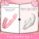 Pink Rabbit Set 1