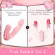 Pink Rabbit Set 2