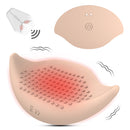 Blush Shell
