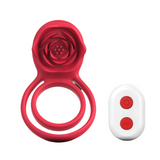 Remote Control Vibration Type